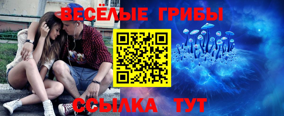 купить наркотики цена  Псилоцибиновые грибы GOLDEN TEACHER  Вход с VPN  Коломна  Псилоцибиновые грибы Cubensis 